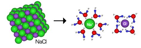 Solutions Solubility And Colligative Properties Chemistry Visionlearning