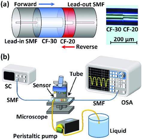 A Schematic Diagram Of The Smf Cf 30 Cf 20 Smf Structure And A Download Scientific Diagram