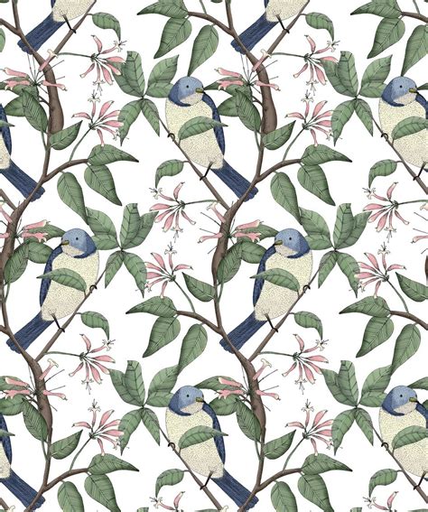 Ornithology Wallpaper Bird Branch Design Milton King