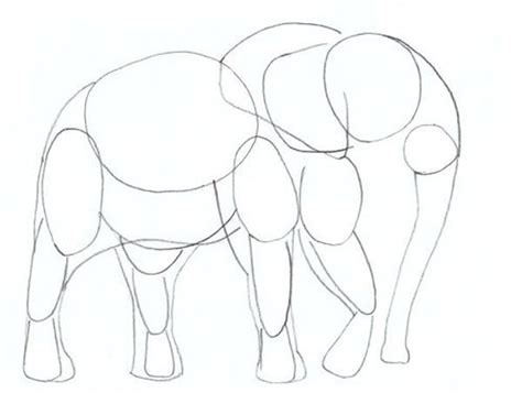 An Elephant Is Shown In This Drawing