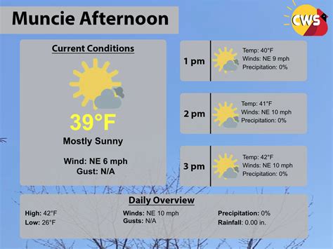 Afternoon Forecast Discussion 2 5 2024 Can You Feel The Sunshine Cardinal Weather Service