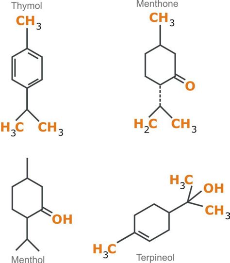 Monocyclic Terpenes Menthol Limonene Thymol Pharmacognosy