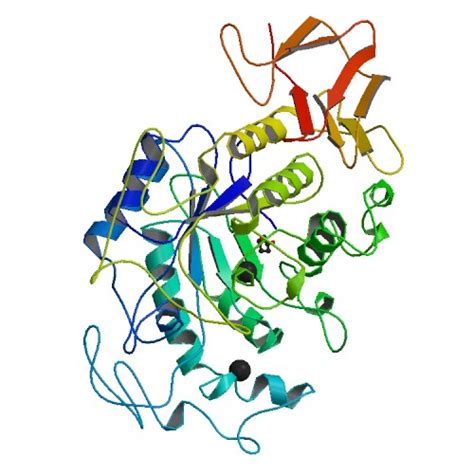 BIOLOGI INDUSTRI: Enzim α-Amilase Komersial