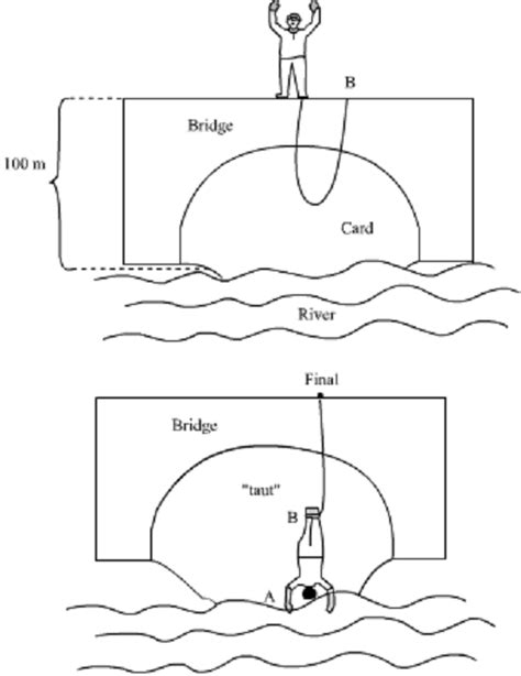 Review A 65 0 Kg Bungee Jumper Steps Off A Bridge With A Light Bungee