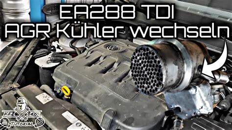 Audi Seat Skoda Vw Golf Ea Tdi Dgca Agr K Hler Wechseln