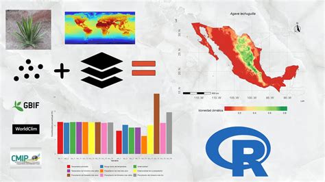 Curso De An Lisis Espacial Modelos De Distribuci N De Especies Con R