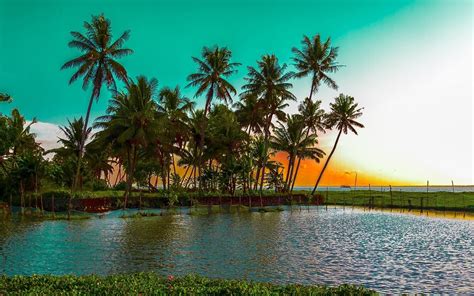 3840x2160 Resolution Palm Tree Landscape Nature Palm Trees Beach