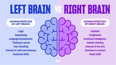 Left Brain Vs Right Brain—7 Science Backed Differences