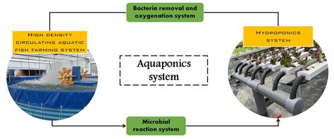 Custom Commercial modular aquaponics system used in greenhouse Factory ...