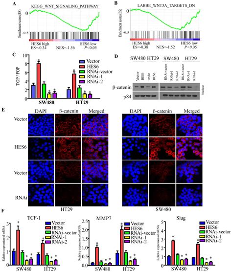 Overexpression Of Hes Has Prognostic Value And Promotes Metastasis Via