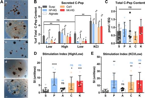 Hp Hg Co Culture Improves Islet Function After Days Of Culture A