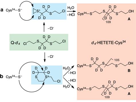 Proposed Reaction Mechanism For The Alkylation Of Cys 34 In HSA By Q A