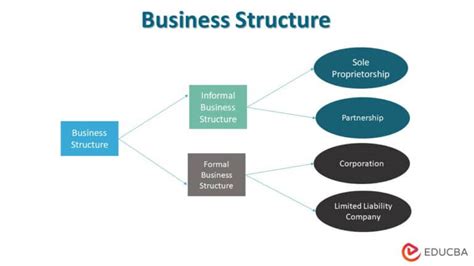 Business Structure Purpose Types Chart And Example