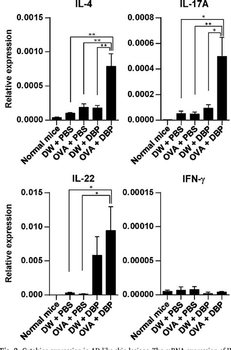 Figure 3 From A Ccr4 Antagonist Ameliorates Atopic Dermatitis Like Skin