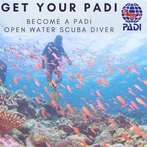 Tdb Padi Open Water Diving Course Scuba Diving License