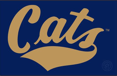 Montana State Bobcats Logo Wordmark Logo Ncaa Division I I M