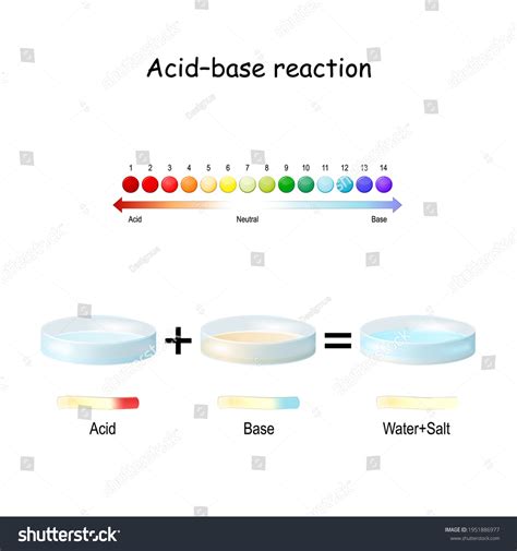 522 Acid base reaction Stock Vectors, Images & Vector Art | Shutterstock