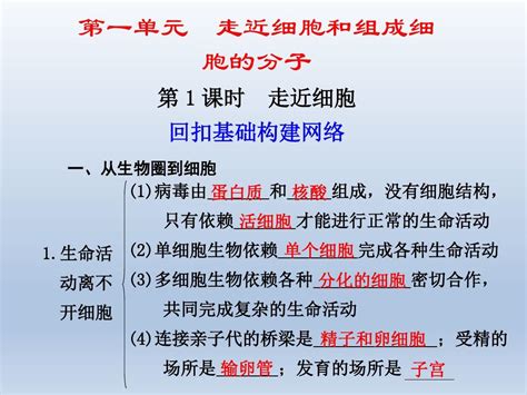 【人教版】2012届步步高高考生物一轮复习课件第1单元第1课时走近细胞word文档在线阅读与下载无忧文档