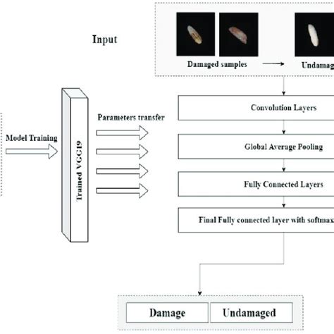 Process Diagram Of The Transfer Learning Model Vgg19 Download Scientific Diagram