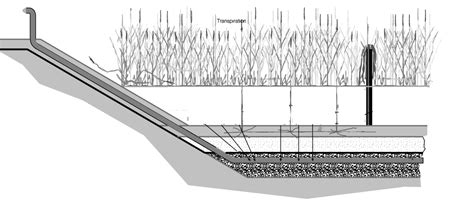 Sludge Drying Reed Beds For Faecal Sludge Treatment Sswm Find Tools