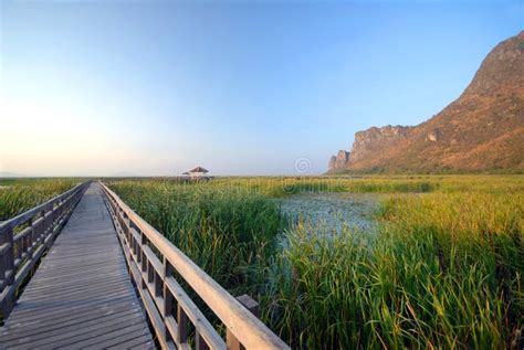 Khao Sam Roi Yot National Park. Stock Image - Image of swamps ...