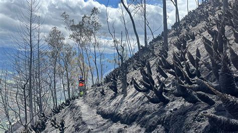 Ecuador suben a 200 hectáreas arrasadas por incendio forestal en