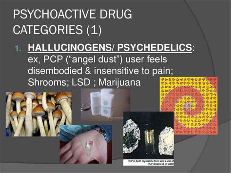 Chapter 3 Psychoactive Drugs Ppt Download