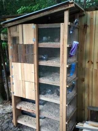 Diy Quail Hutch Ideas And Designs