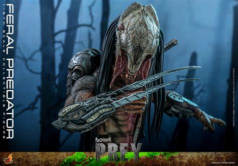 Hot Toys終極戰士獸獵者野性終極戰士Feral Predator1 6 比例收藏級人偶 傾力刻畫出的最醜容顏