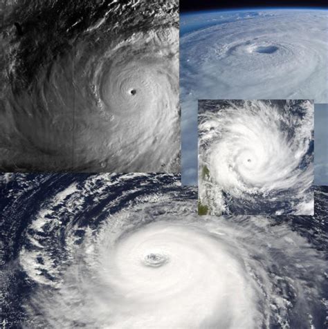 Filetropical Cyclone Collage Wikimedia Commons