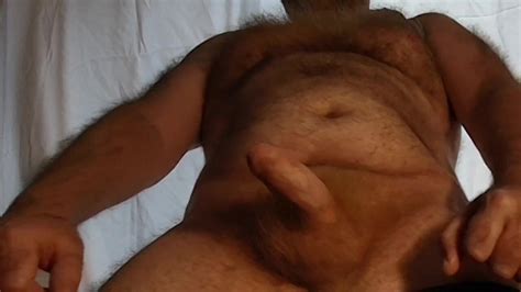 Masturbación De Oso Peludo Británico Mostrando Mi Vientre Y Pecho Peludos Xhamster