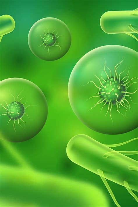 Realistic Bacteria And Cells Green Microscopic Biology Or M