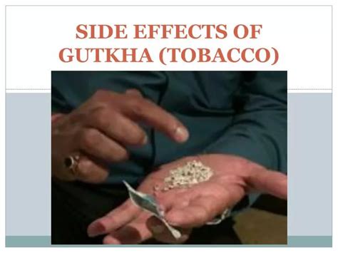 Ppt Side Effects Of Gutkha Tobacco Powerpoint Presentation Free