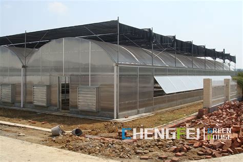 Polycarbonate Greenhouse Factory China Polycarbonate Greenhouse Manufacturers And Suppliers