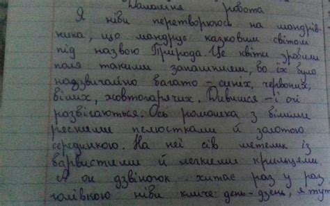 Письмовий твір-опис природи в художнюму стилі на основі власних вражень ...
