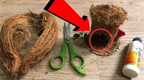 How To Make Bird House From Waste Coconut Husk Best Out Of Waste