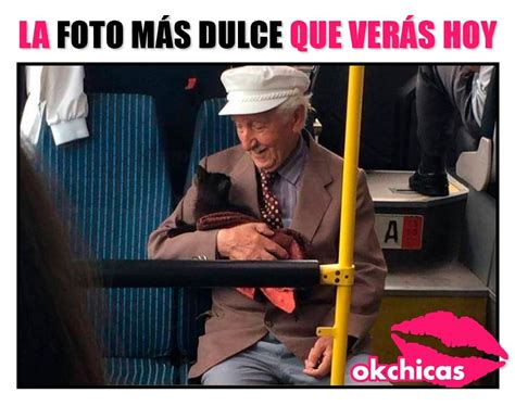 La Foto M S Dulce Que Ver S Hoy Memes