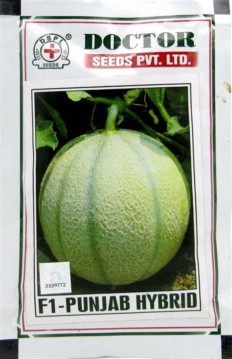 Doctor F1 Punjab Hybrid Muskmelon Seeds For Agriculture Packaging