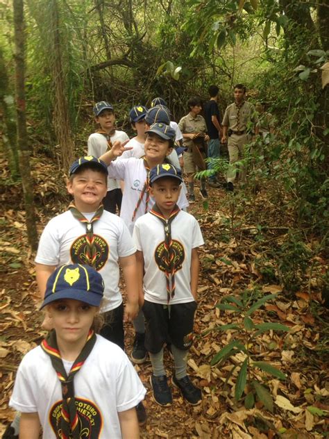 Grupo Escoteiro Padre Anchieta Faz Acampamento No Parque Municipal De