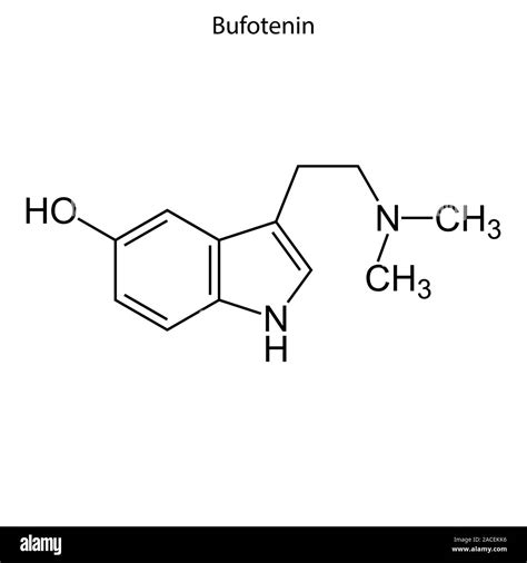 Skeletal formula of Bufotenin. Chemical molecule Stock Vector Image ...