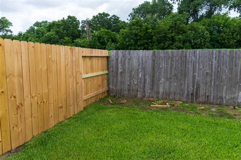 Garden Fence Boundary Dispute Fasci Garden