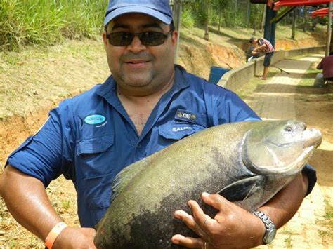 HOTEL RESTAURANTE E PESQUEIRO BOITUPESCA OPÇÃO DE PESCA EM BOITUVA