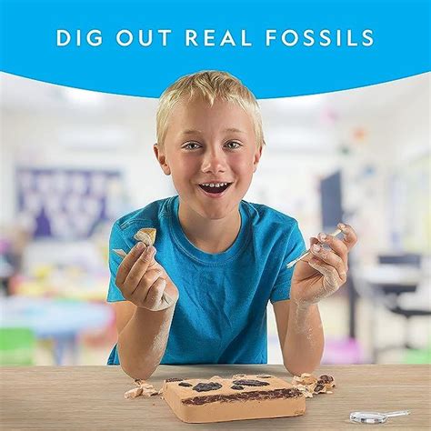 National Geographic Mega Fossil Dig Kit Excavate Genuine