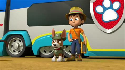 Paw Patrol Season 4 Episode 20 Pups Save The Mail Pups Save A Frog