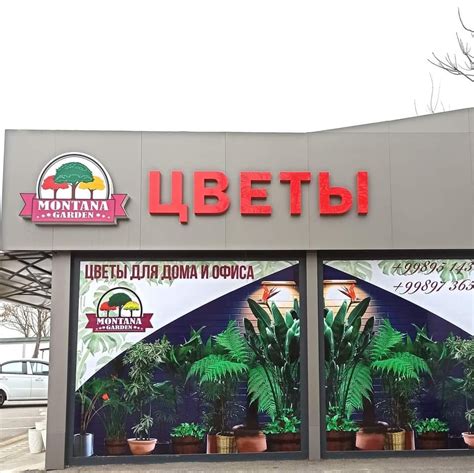 Montana Garden - Желаете приобрести самое неприхотливое и эффектное ...