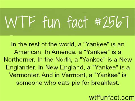 what does the word yankee mean