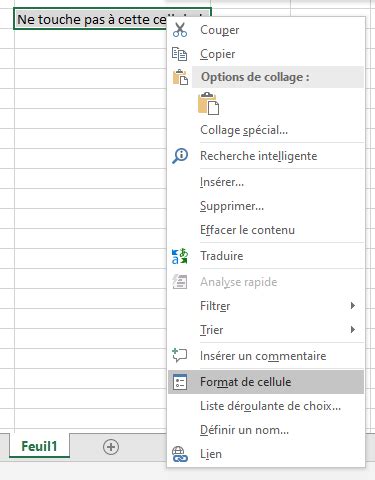 Prot Ger Le Contenu Dune Cellule Excel Ever