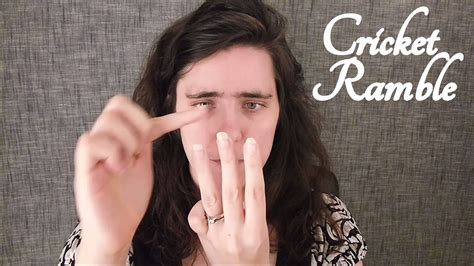 ⛹ Asmr Ramble ⛹ Cricket Update On Quilt ☀365 Days Of Asmr☀ Youtube