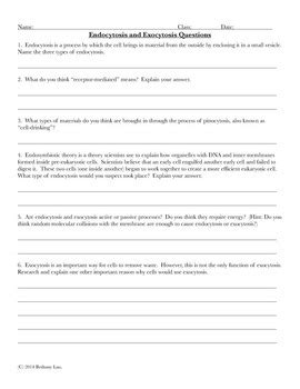 Endocytosis And Exocytosis Worksheet