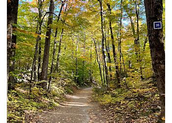 3 Best Hiking Trails in Gatineau, QC - Expert Recommendations